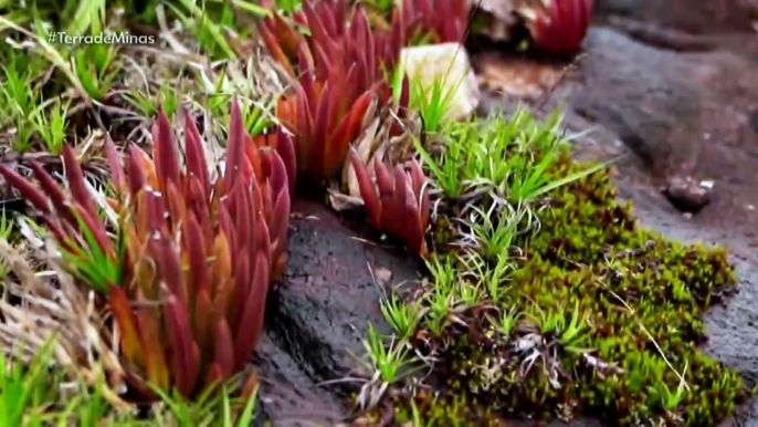 O Terra de Minas passeia pelas maravilhas da Serra do Caraça