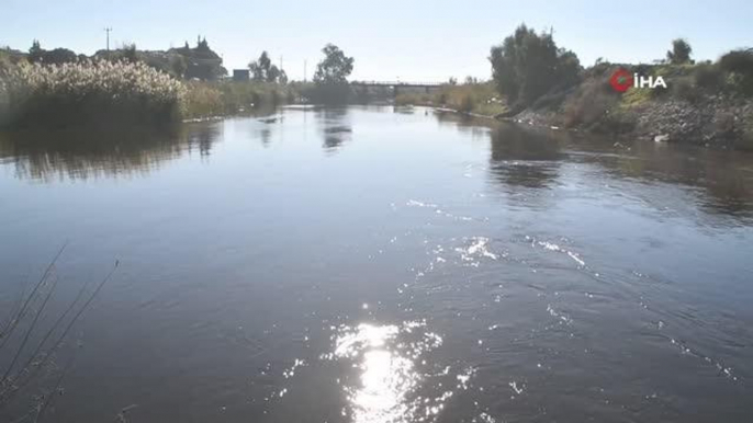 Büyük Menderes Nehri kirliliğine Bakanlık el attı