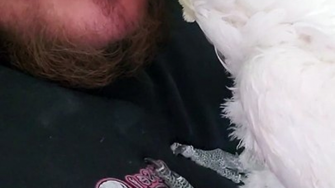 Guy Cuddles an Adorable Cockatoo