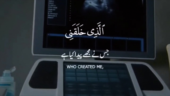 Quran Whatsap Status _ islamic whatsapp status _ quran tilawat