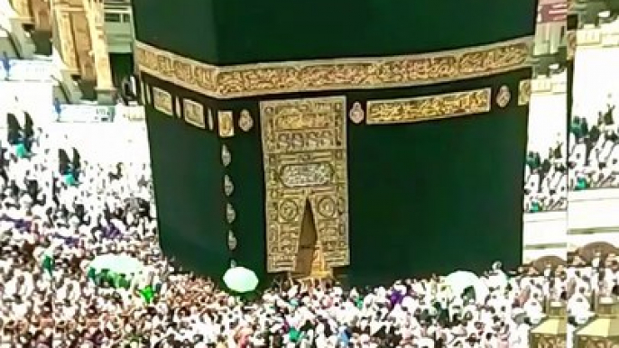 HAJJ KI FAZILAT #shorts #shortvideo #islamic #islamicvideos #subscribe #islamicvlog #vlogs #whatsappstatus