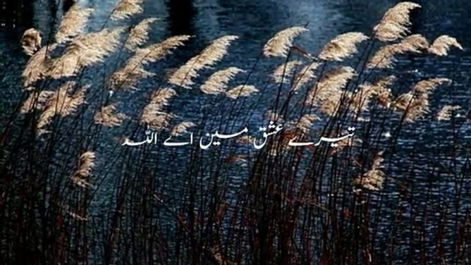 Muhabbat Ki | Namazon |Mein Urdu Poetry |  Islamic Poetry | 2023