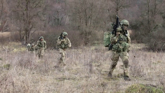 NATO Combat Engineers • Bull Fury Romania