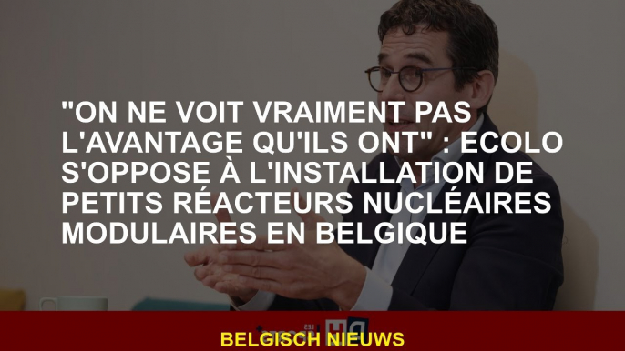 "Nous ne voyons vraiment pas l'avantage qu'ils ont": Ecolo est opposé à l'installation de petits réa