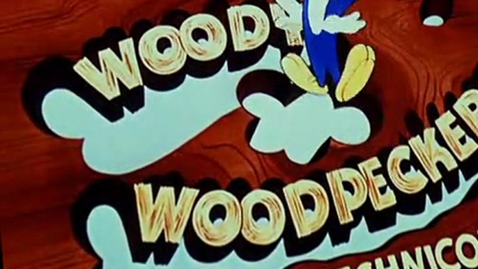 Woody Woodpecker Woody Woodpecker E047 – Buccaneer Woodpecker