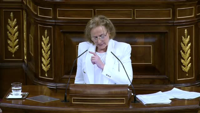 El debate en Congreso de la nueva ley del aborto pone de nuevo de manifiesto las diferencias entre PP y Vox