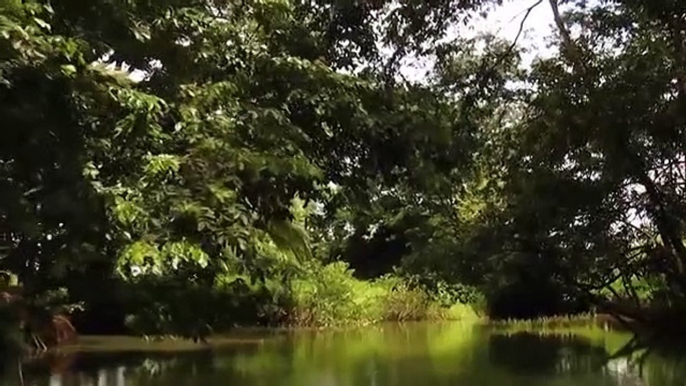 World Natural Heritage Costa Rica: Guanacaste National Park | movie | 2012 | Official Trailer