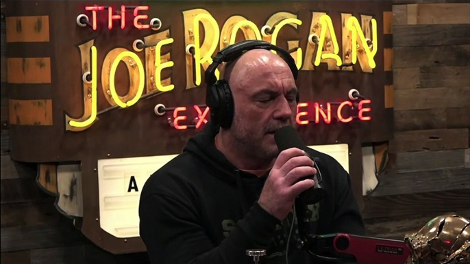 Crazy Leftists Pushed Elon Musk to the Right - Joe Rogan Experience