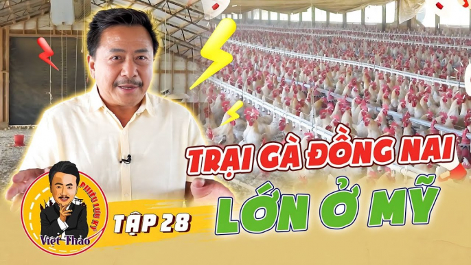 VIỆT THẢO PHIÊU LƯU KÝ #28 _ Khám phá trại gà Đồng Nai ở Mỹ, đột nhập quy trình sản xuất gà đi bộ