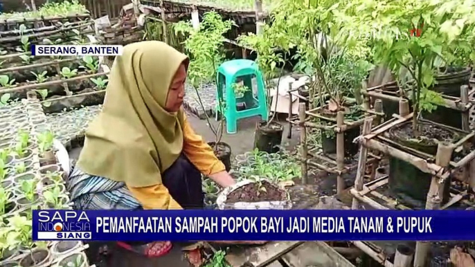 Kreatif! Perempuan Asal Banten Ini Olah Sampak Popok Bayi Jadi Media Tanam & Pupuk