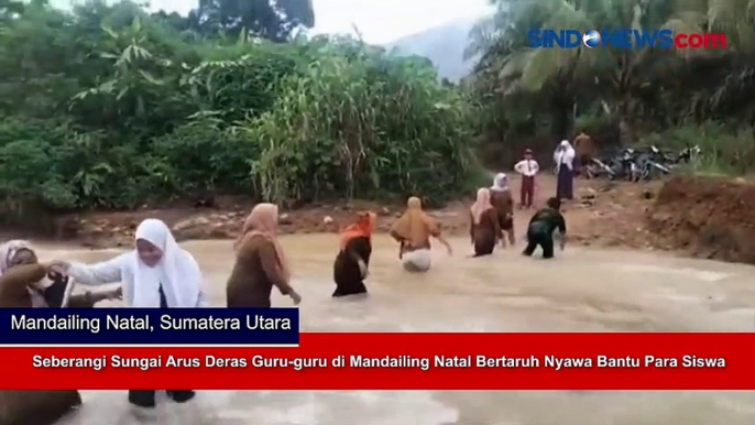 Seberangi Sungai Arus Deras Guru-guru di Mandailing Natal Bertaruh Nyawa Bantu Para Siswa