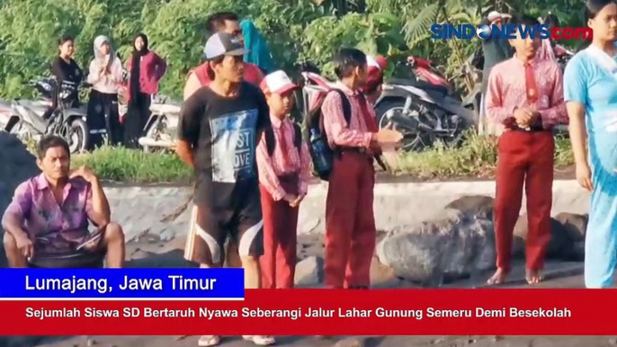 Sejumlah Siswa SD Bertaruh Nyawa Seberangi Jalur Lahar Gunung Semeru Demi Besekolah