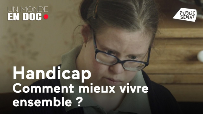 Un monde en doc : Handicap, comment mieux vivre ensemble ?