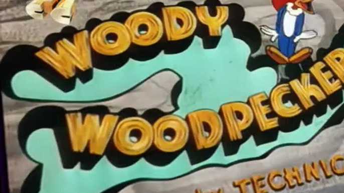 Woody Woodpecker Woody Woodpecker E141 – Woodpecker Wanted