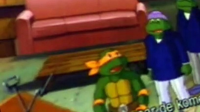 Teenage Mutant Ninja Turtles (1987) Teenage Mutant Ninja Turtles E124 Michelangelo, the Sacred Turtle