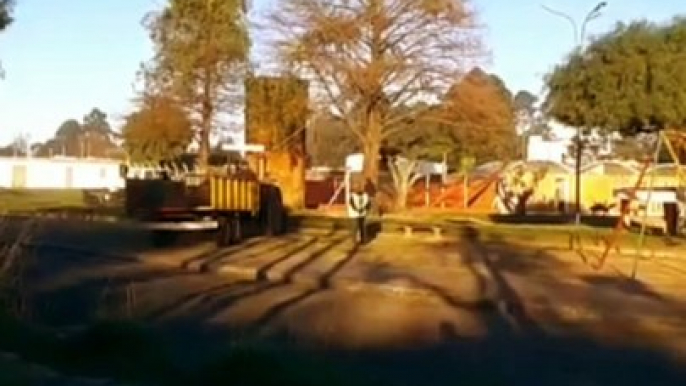 De cuando se tiró un árbol viejo del Centro de Barrio N°3, "El Hongo", Tacuarembó, Uruguay (17/08/2017)