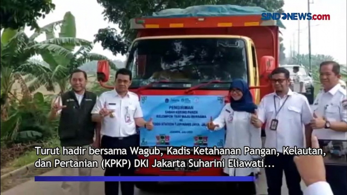 Wagub DKI Lepas 8 Ton Gabah Kering Hasil Panen Gapoktan ke BUMD Foodstation di Rorotan Jakut