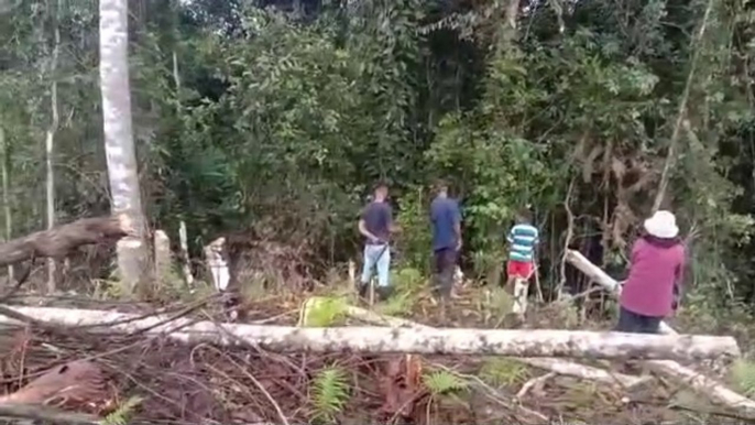 Pembukaan Lahan Baru,Kampung Sumba-NTT di Mariat Gunung, Kabsor, PBD