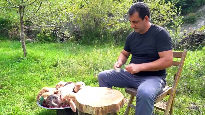 COOKING LAMB  BRAINS - FRIED LAMBS' BRAIN RECIPE BY WILDERNESS COOKING