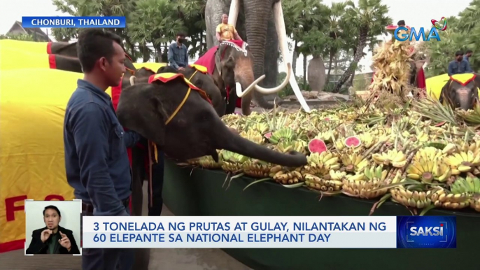 3 tonelada ng prutas at gulay, nilantakan ng 60 elepante sa National Elephant Day | Saksi