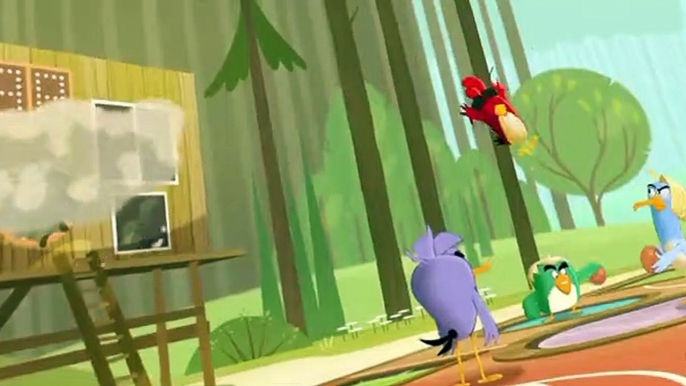 Angry Birds: Summer Madness Angry Birds: Summer Madness E006 The Big Bird Bake Off