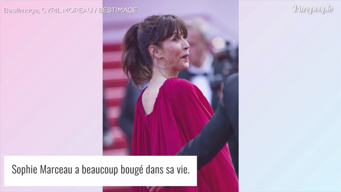 Sophie Marceau, sa vie à Paris avec son fils Vincent : cet appartement "avec un vis-à-vis monstrueux" mais "fonctionnel"