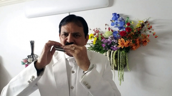 Vande Mataram - Patriotic Song on Harmonica Live Performance by Mukund Kamdar