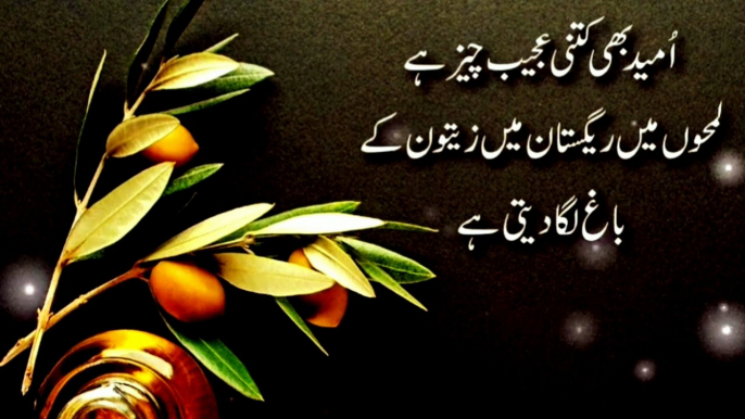 buht khbsort aqwal#,heart touching words #Golden words#