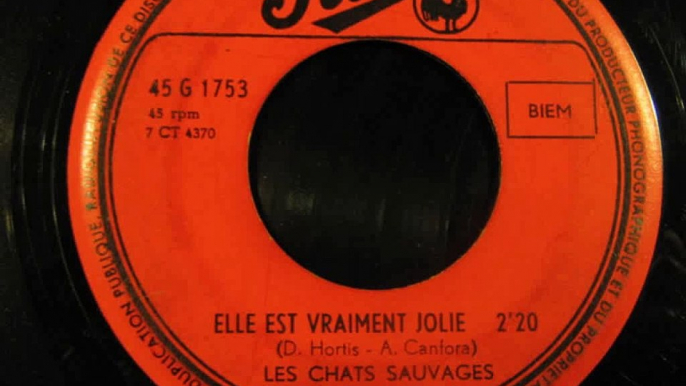 Les Chats Sauvages & Dick Rivers_Elle est vraiment jolie (1962)