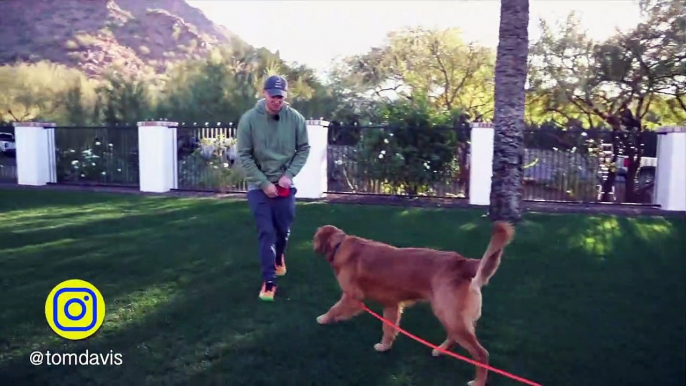 HOW TO TEACH ANY DOG RECALL WITH THE E-COLLAR!