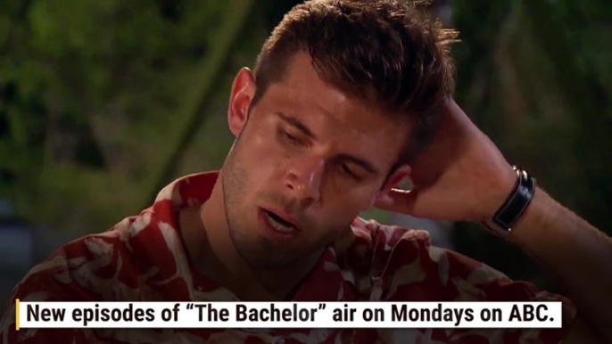 6 Reasons Zach Shallcross Just Might Be The Perfect Bachelor