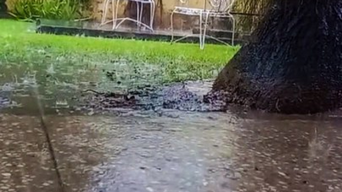 Beautiful view of Nature | Heavy Rain