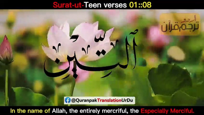 Surah teen