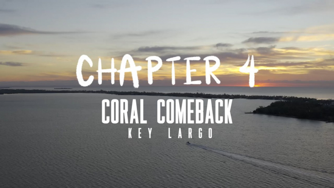 Protect the Blue, Chapter 4 - Coral Comeback: Key Largo