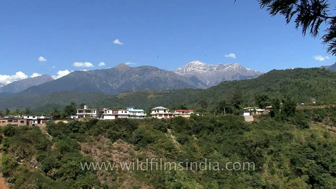 Dhauladhar range view from Baijnath temple