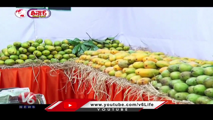 Over 25 Varities Of Mangoes Sale In Manikonda _ Mango Festival _ V6 Teenmaar