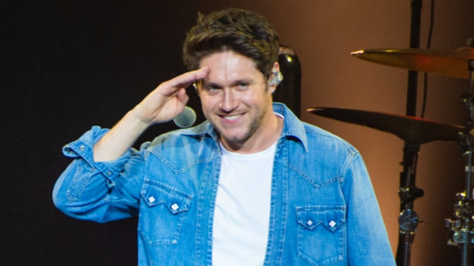 Niall Horan reveals the actors he'd want to play him in a 1D biopic