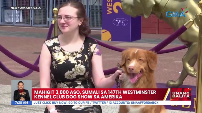 Mahigit 3,000 aso, sumali sa 147th Westminster Kennel Club Dog Show sa Amerika | UB