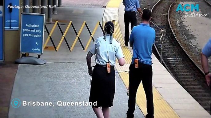 Snake rescued from train tracks by Queensland driver