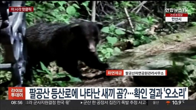 [핫클릭] 팔공산 등산로에 나타난 새끼 곰?…확인 결과 '오소리' 外