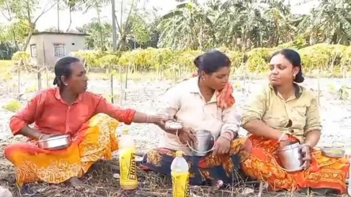 উঃ২৪পঃ শুনুন একবার এই মহিলা কৃষকের গান ! শুধু অবাক নয়, আশ্চর্য হয়ে যাবেন