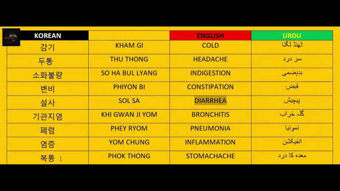 Korean language class-46 | Illnesses names in Korean | کورین میں بیماریوں کے نام | 한국어 질병 이름 | امراض