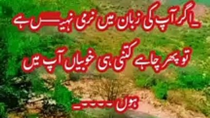 Best islami shorts video, shorts, islamic whatsapp status, islamic