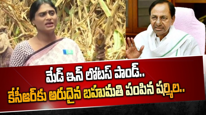 CM KCR కు షర్మిల మరో గిఫ్ట్..ప్రగతిభవన్ కు ట్రక్కు |  Telangana Rains