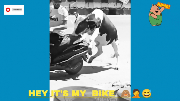 Hey it's my bike  I also want to sit on the bike  #funny #cow #memes #jokes #comedy #comedyshorts #bts #shorts #statues #reelsinstagram