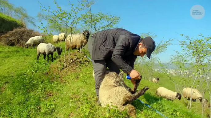 Köydeki Huzur Belgeseli