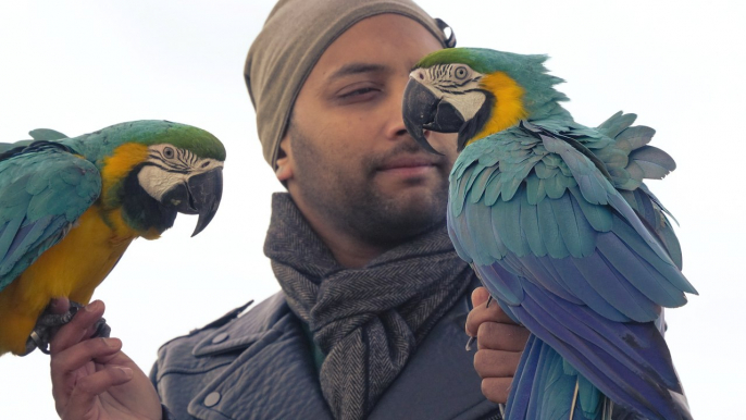 Wings of Change: How a Bird Hater Became a Parrot Whisperer!