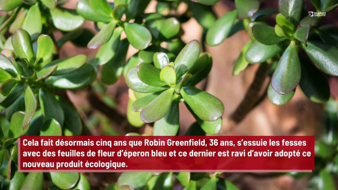 Cet homme n’utilise plus de papier toilette mais les feuilles d’une plante pour s’essuyer !