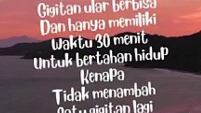 Kompilasi Humor Volume 25