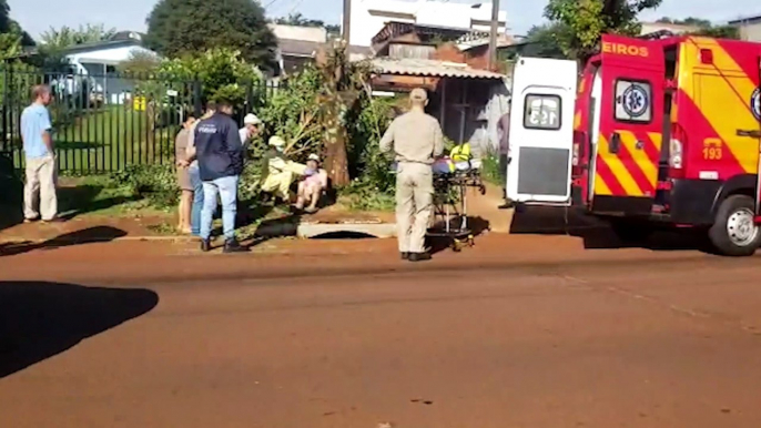 Homem sofre queda durante corte de árvore e precisa ser socorrido pelo Siate